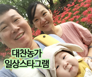 일상스타그램